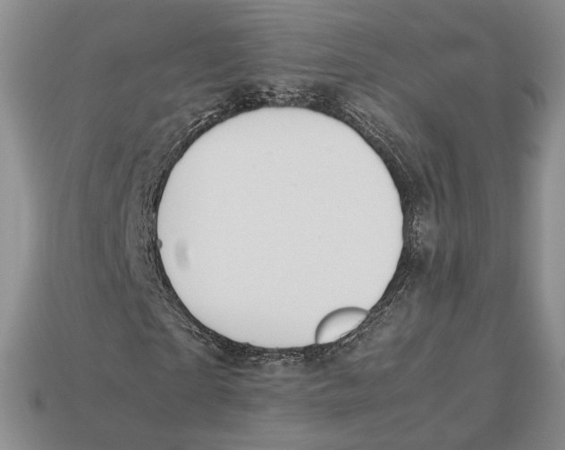 X0000113040865200909241432
