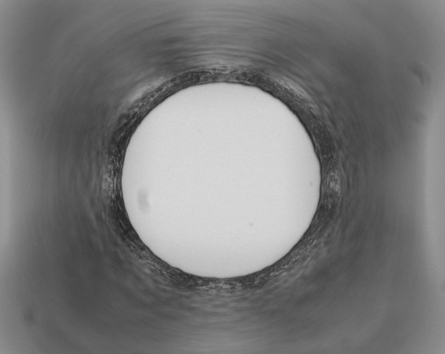 X0000113040869200909241432
