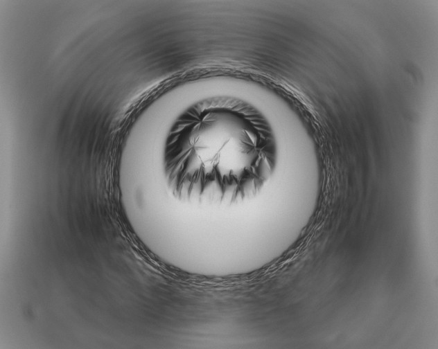 X0000113040872200909241432