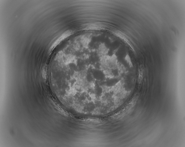 X0000113040874200909241432