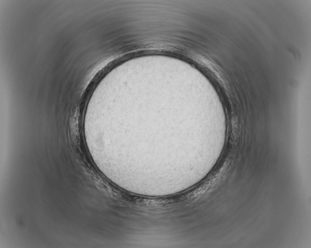 X0000113040875200909241432