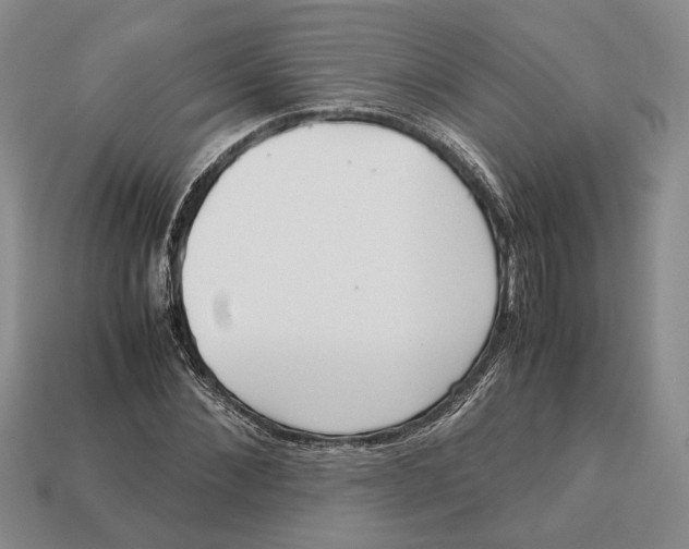 X0000113040876200909241432