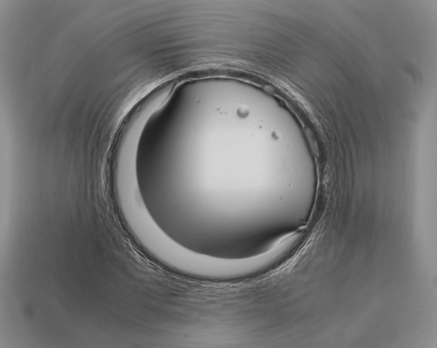 X0000113040877200909241432