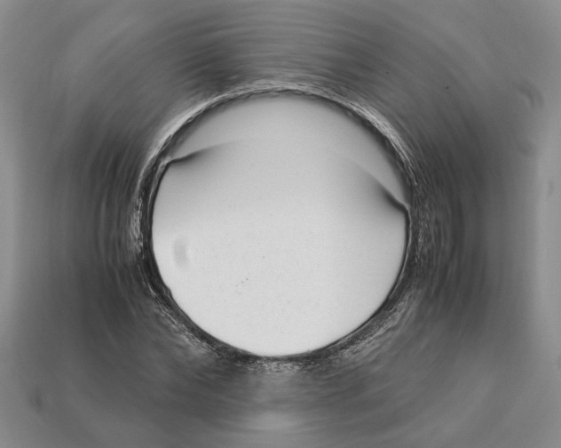 X0000113040878200909241432