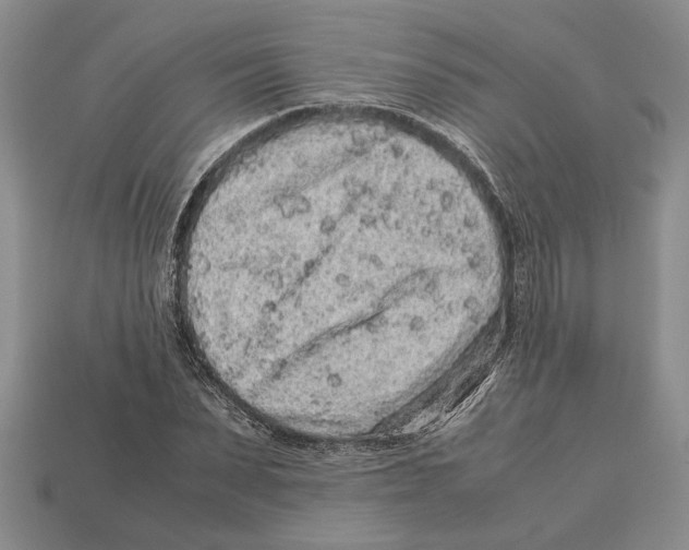 X0000113040879200909241432