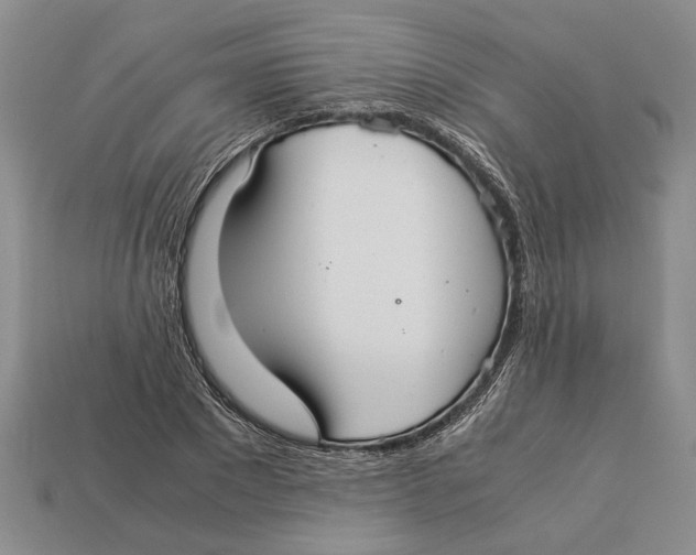 X0000113040881200909241432