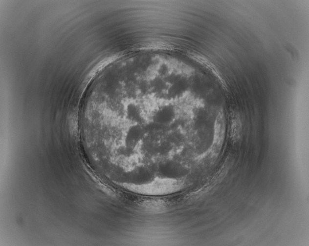 X0000113040882200909241432