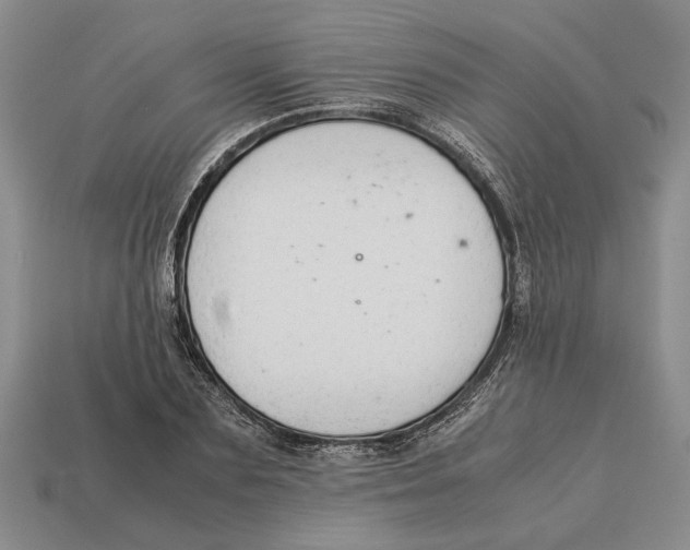X0000113040883200909241432