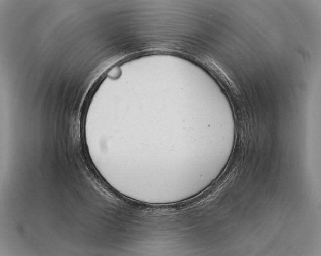 X0000113040884200909241432