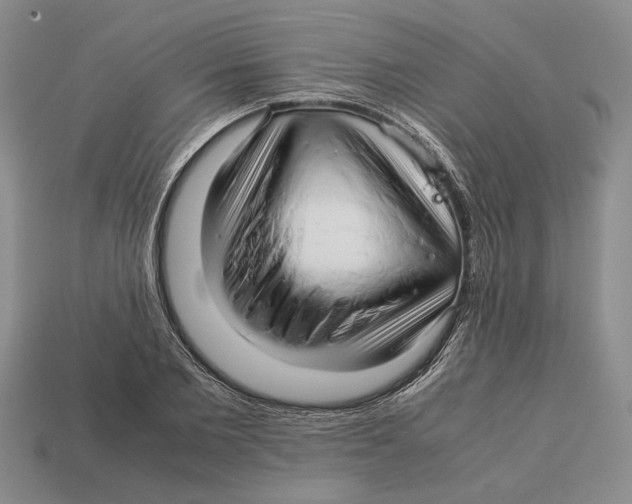 X0000113040885200909241432