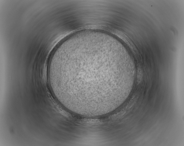 X0000113040886200909241432