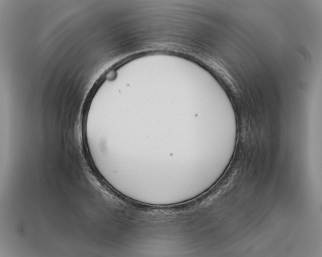 X0000113040888200909241432