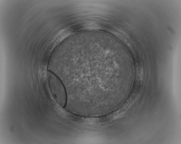 X0000113040889200909241432