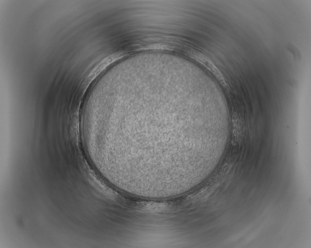 X0000113040890200909241432