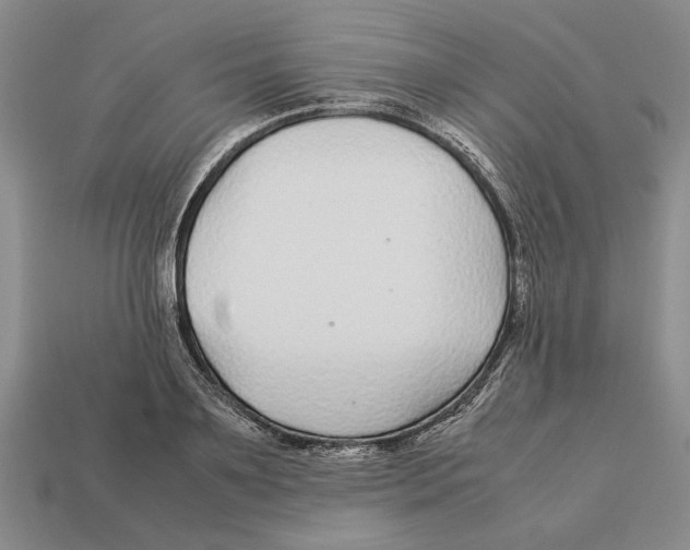 X0000113040891200909241432