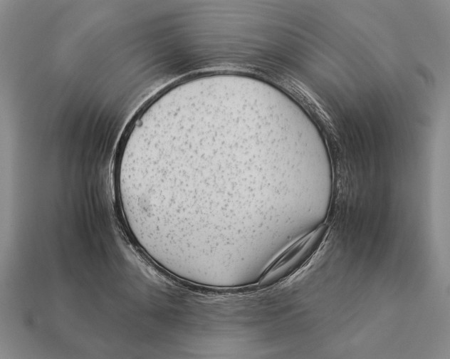 X0000113040892200909241432