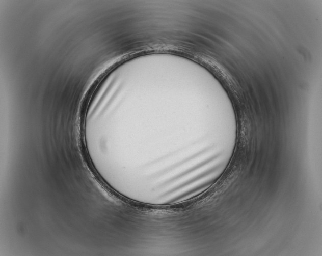 X0000113040894200909241432