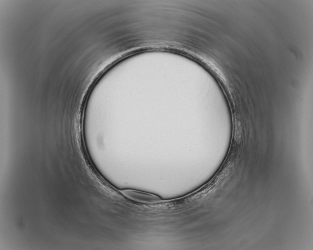 X0000113040895200909241432