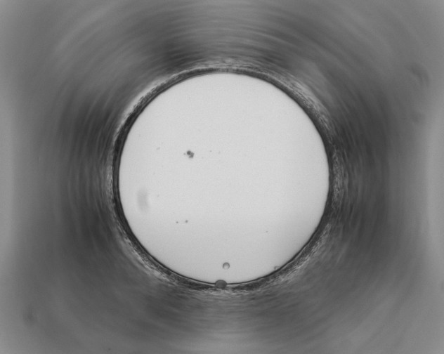 X0000113040896200909241432