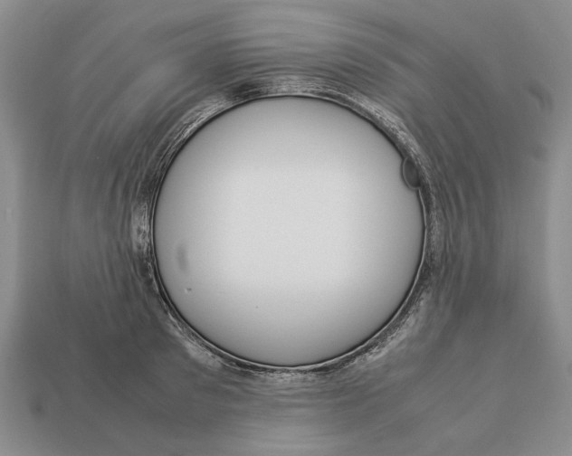 X0000113040897200909241432
