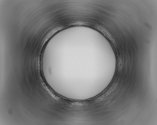 X0000113040898200909241432