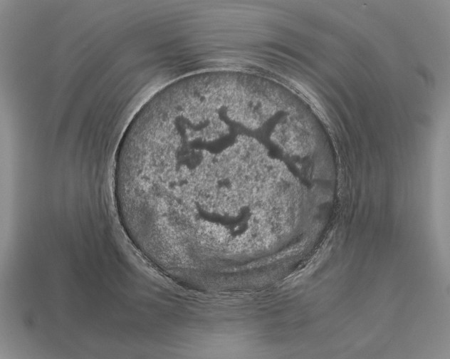 X0000113040899200909241432