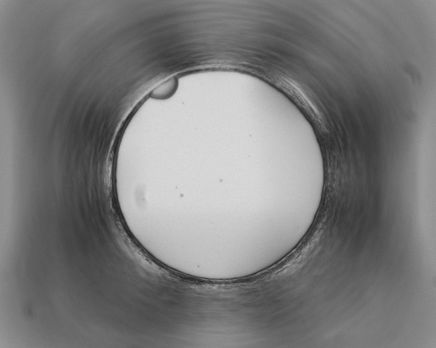 X0000113040900200909241432