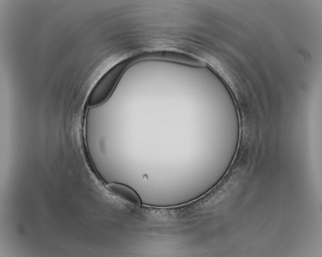 X0000113040901200909241432