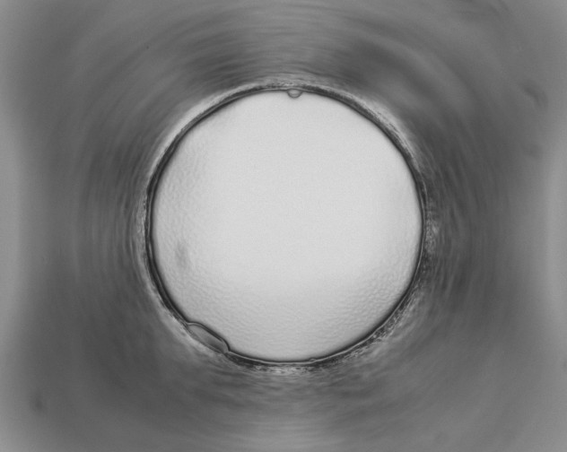 X0000113040903200909241432