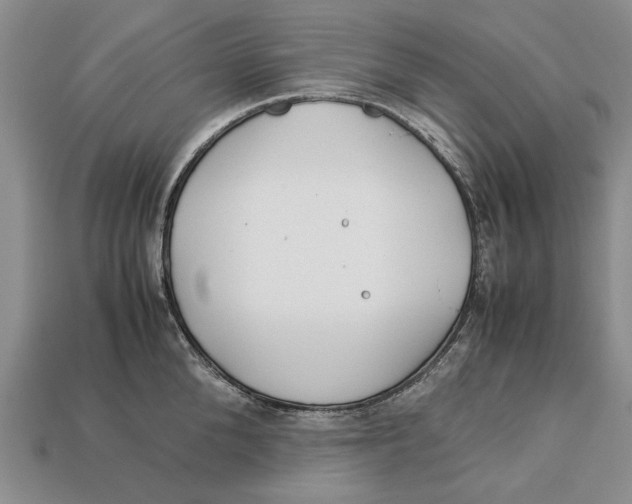 X0000113040904200909241432