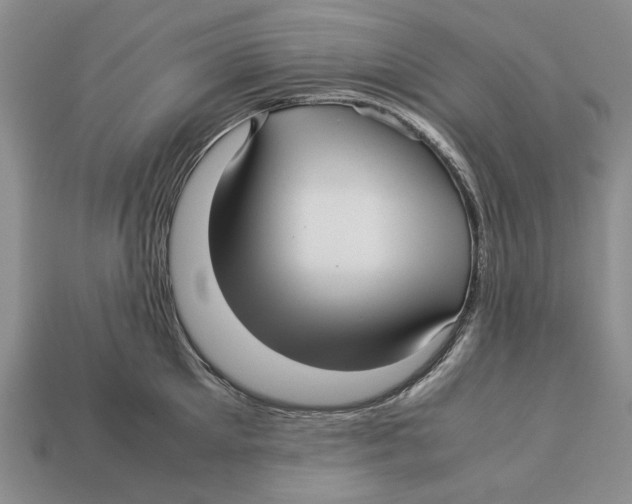 X0000113040905200909241432