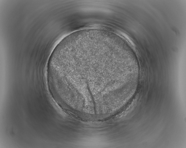 X0000113040907200909241432