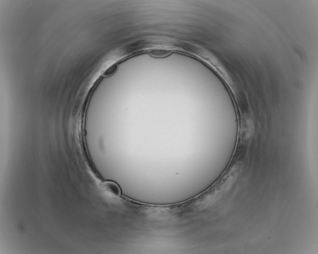 X0000113040909200909241432