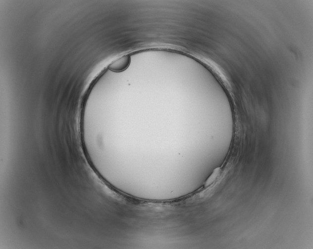 X0000113040910200909241432