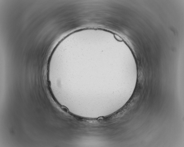X0000113040911200909241432