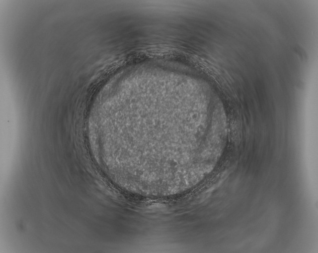 X0000113040913200909241431