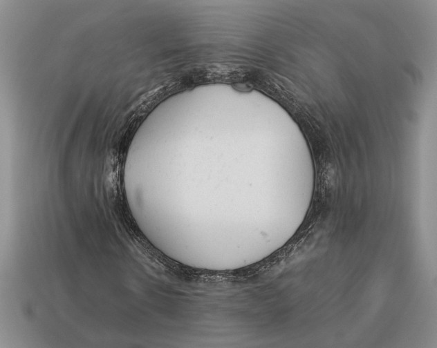 X0000113040914200909241431