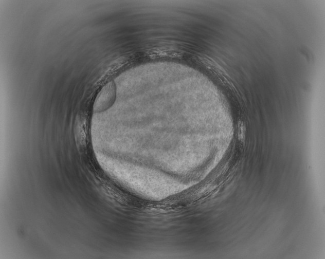 X0000113040915200909241431