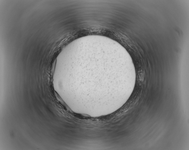 X0000113040916200909241431