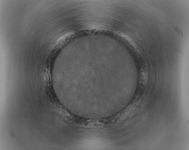 X0000113040918200909241431