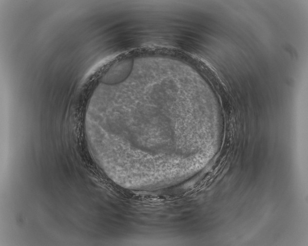 X0000113040919200909241431