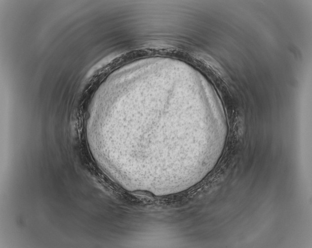 X0000113040920200909241431