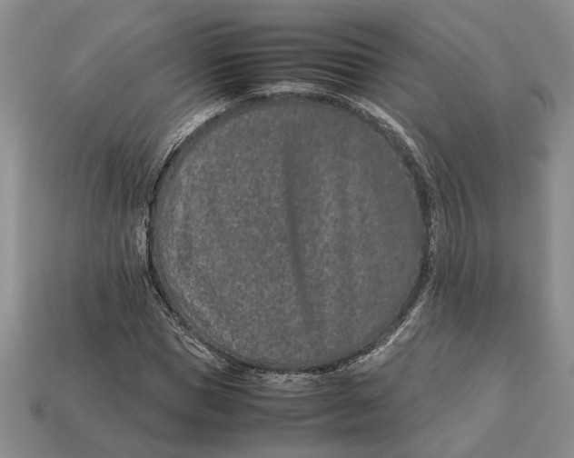 X0000113040921200909241431