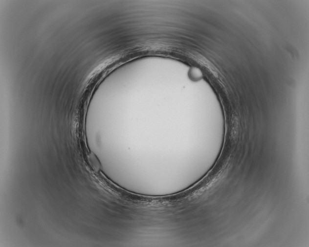 X0000113040922200909241431