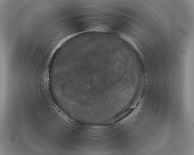 X0000113040923200909241431
