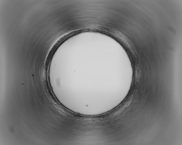 X0000113040924200909241431