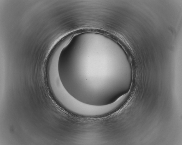 X0000113040926200909241431