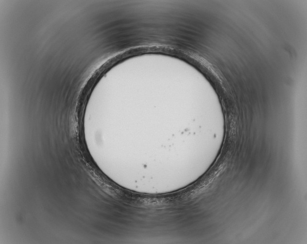 X0000113040927200909241431