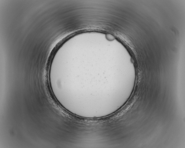 X0000113040928200909241431