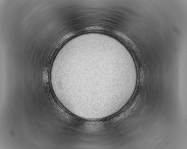 X0000113040929200909241431